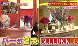 宝屋日料爆料视频大全集,揭秘美食背后的故事